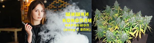 гидра Абаза