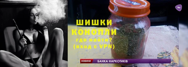 амф Каменка