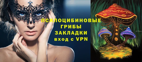 стафф Абдулино